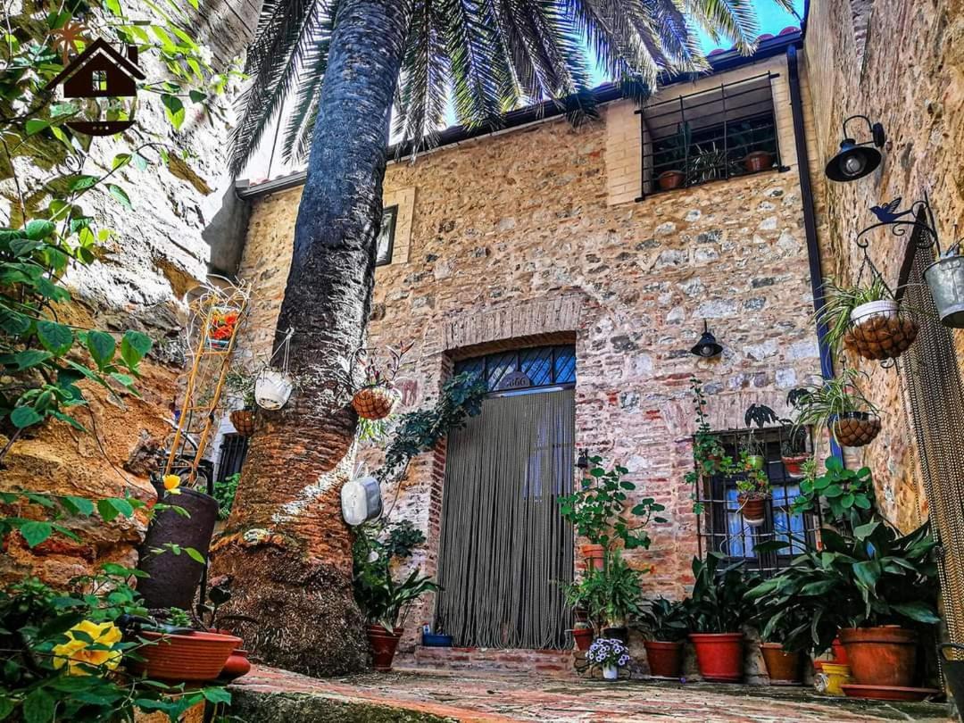 Hotel Rural Tocampavi Chillon Dış mekan fotoğraf